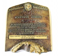 Aganthus Aureus MTP 2006